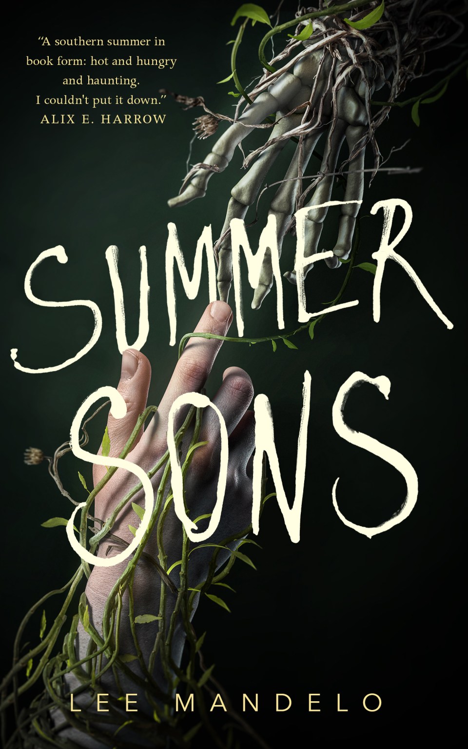 Summer Sons by Lee Mandelo book cover